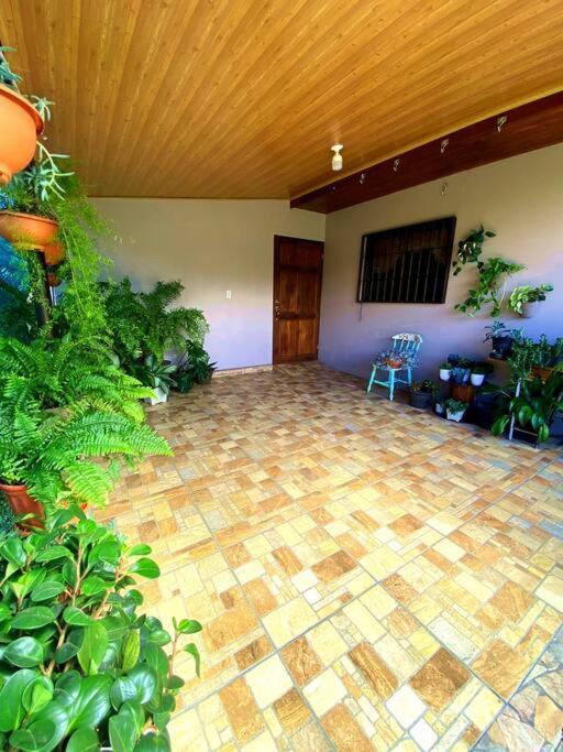Peace Garden Apartment Monteverde Buitenkant foto